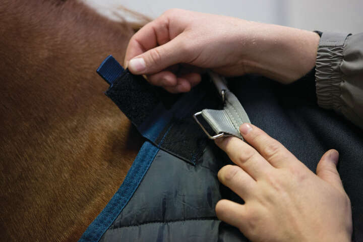 Horseware Unterdecke Liner 200 g